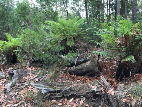 Acacia Hills Retreat - Accommodation Great Ocean Road 2