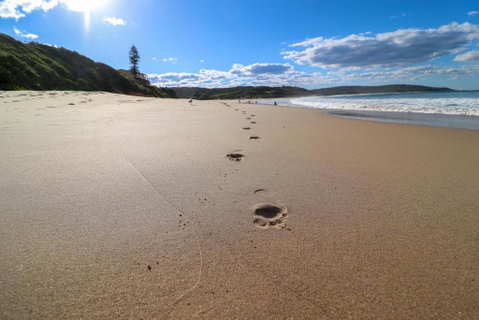Surfers Paradise At Catherine Hill Bay - Accommodation Great Ocean Road 2
