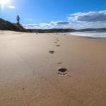 Surfers Paradise At Catherine Hill Bay - Accommodation Great Ocean Road 0