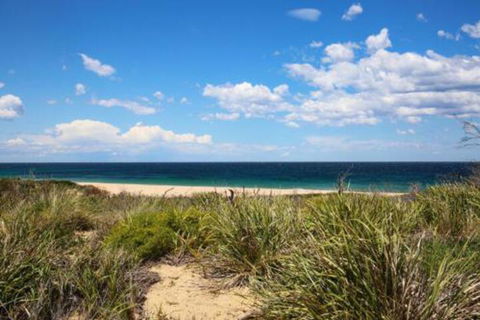 Sea Dream Pet Friendly 1 Min Walk To Beach - Accommodation Great Ocean Road 5