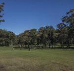 Championship Golf Course on your Back Door - Accommodation Great Ocean Road