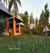 Feathers Sanctuary - Accommodation Great Ocean Road 6