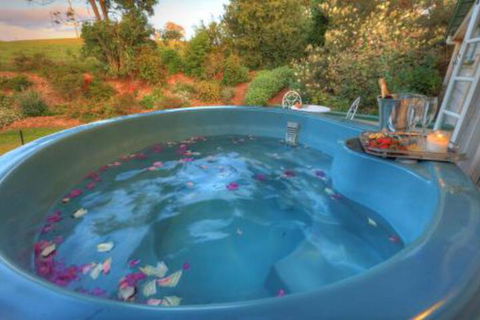 Maleny Homestead & Cottage - Accommodation Great Ocean Road 4