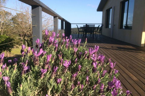 Maleny Mountain Retreat - Accommodation Great Ocean Road 2