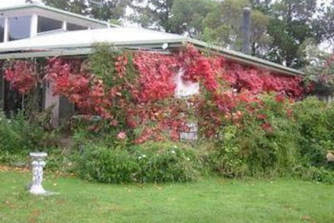 Castagni Bed & Breakfast - Accommodation Great Ocean Road 2
