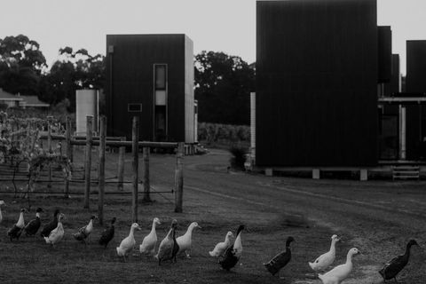 Barn Hives Yallingup - Accommodation Great Ocean Road 1