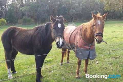 Heritage Bed & Breakfast - Accommodation Great Ocean Road 3