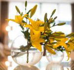 KUI Manhattan Apartments - Accommodation Great Ocean Road