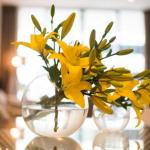 KUI Manhattan Apartments - Accommodation Great Ocean Road 0