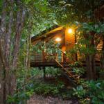 Wildwood - Accommodation Great Ocean Road 0