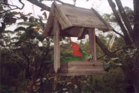 Arcadia Cottage - Accommodation Great Ocean Road 2