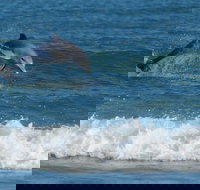 Summerhills Retreat Byron Bay - Accommodation Great Ocean Road