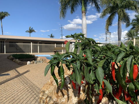 Silo Motor Inn - Accommodation Great Ocean Road 6