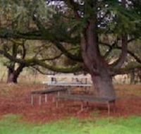 Auburn Shiraz Motel - Accommodation Great Ocean Road