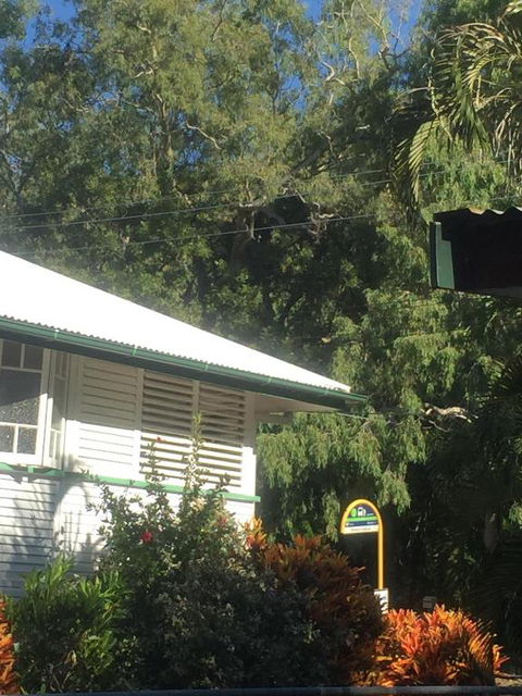 Daggoombah Holiday Home Magnetic Island - Accommodation Great Ocean Road 6