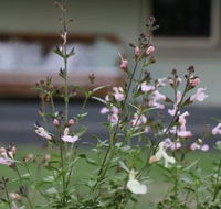 Serendipity on Allyn - Accommodation Great Ocean Road