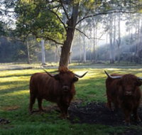 Dingley Dell