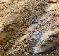 Ballina Palms Boutique Motel - Accommodation Great Ocean Road