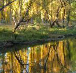 On The Banks - Accommodation Great Ocean Road