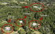 Cooroy Country Cottages - thumb 2