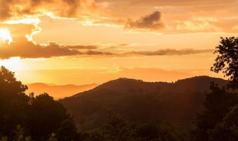Cooroy Country Cottages - Accommodation Great Ocean Road 0