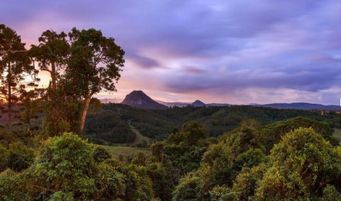 Cooroy Country Cottages - Accommodation Great Ocean Road 3