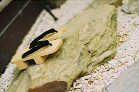 Shizuka Ryokan Japanese Country Spa & Wellness Retreat - Accommodation Great Ocean Road 4