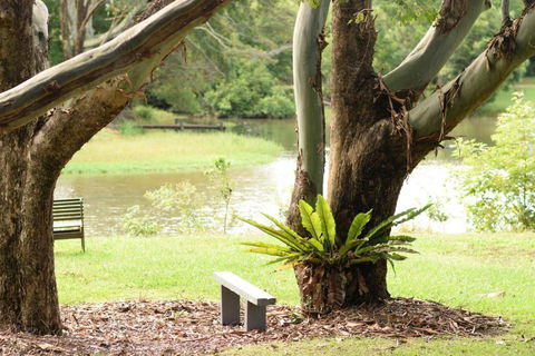McCarthy Lake House - Accommodation Great Ocean Road 4