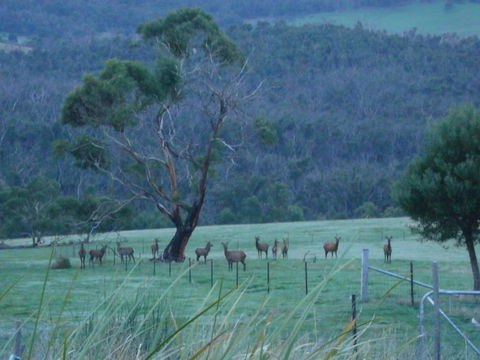 Hawksview At Mafeking - Accommodation Great Ocean Road 3