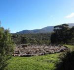 Hawksview at Mafeking - Accommodation Great Ocean Road
