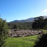Hawksview At Mafeking - Accommodation Great Ocean Road 0