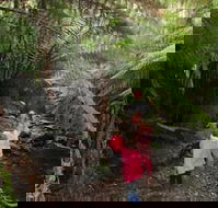 12 Apostles Cottages - Accommodation Great Ocean Road