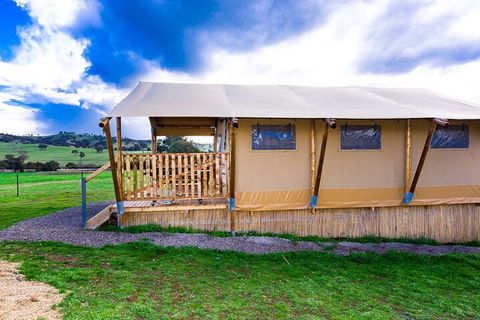 Hillview Farmstay - Accommodation Great Ocean Road 3