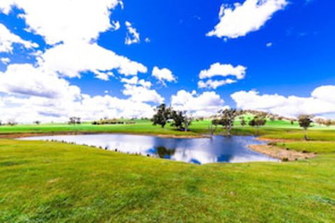 Hillview Farmstay - Accommodation Great Ocean Road 0