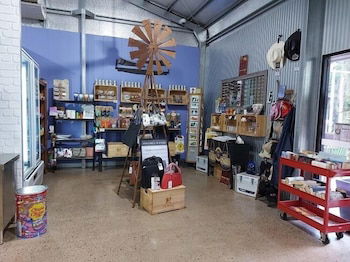 Litchfield Tourist Park - Campground - Accommodation Great Ocean Road 2