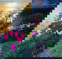 The Vines Motel and Cottages - Accommodation Great Ocean Road