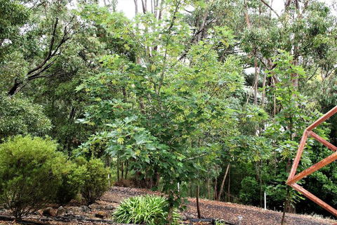 Tangenong Cottages - Accommodation Great Ocean Road 4