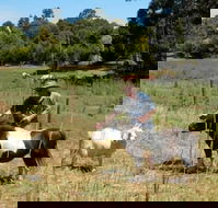 Country Cottages of Bridgetown - Accommodation Great Ocean Road