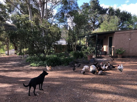 Country Cottages Of Bridgetown - Accommodation Great Ocean Road 4