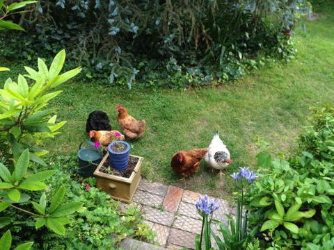 Southdown Cottage - Accommodation Great Ocean Road 3