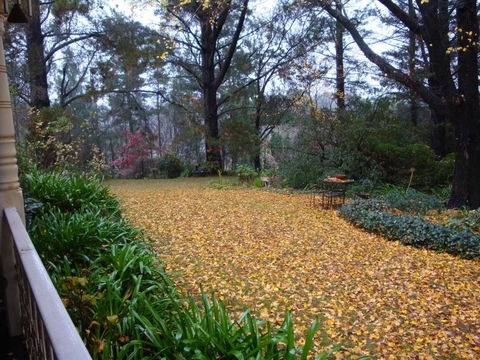 Southdown Cottage - Accommodation Great Ocean Road 4