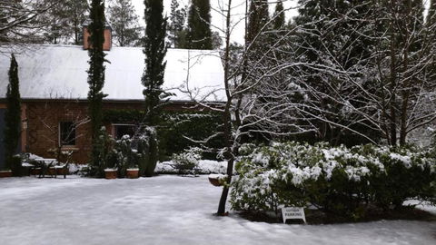 Southdown Cottage - Accommodation Great Ocean Road 2