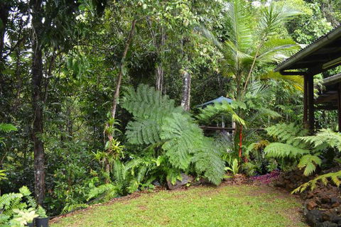 Tropical Bliss Bed & Breakfast - Accommodation Great Ocean Road 6