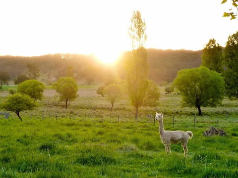 Glen Waverly Farmstay - Accommodation Great Ocean Road 6