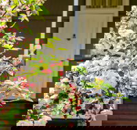 Apple Blossom Cottage - Accommodation Great Ocean Road