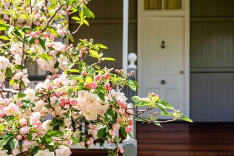 Apple Blossom Cottage - Accommodation Great Ocean Road 0