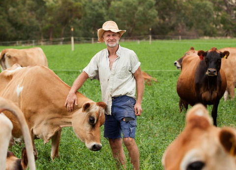 Dairymans Cottage - Accommodation Great Ocean Road 3