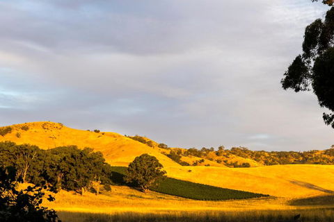 Dairymans Cottage - Accommodation Great Ocean Road 6