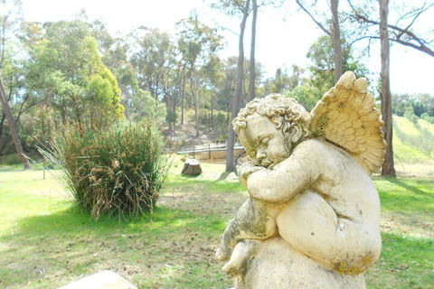 Countryside Connections Tranquil Studio - Accommodation Great Ocean Road 4