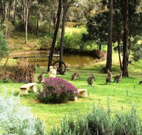 Countryside Connections Tranquil Studio - Accommodation Great Ocean Road